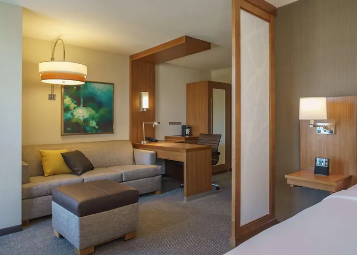One-Bedroom King Suite