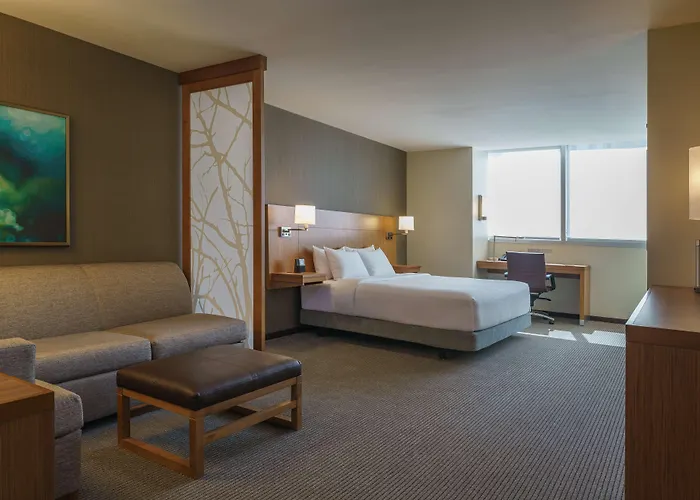 One-Bedroom King Suite